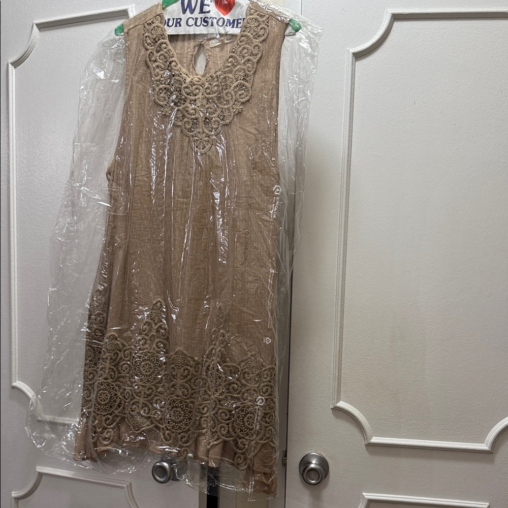 Elegant Tan Lace Dress